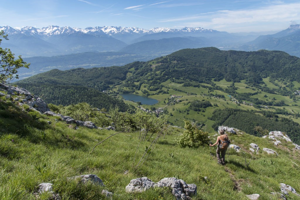 Faune flore massif Bauges