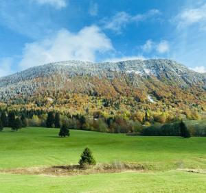 Faune flore massif Bauges