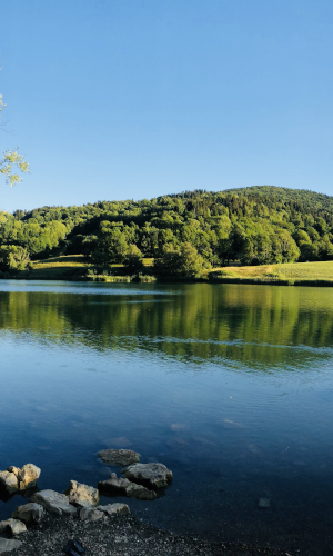 Faune flore massif Bauges