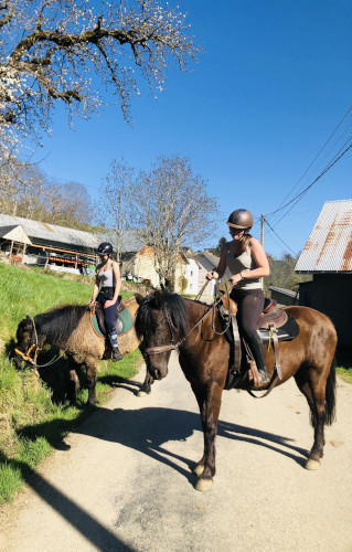 randonnee-cheval-bauges