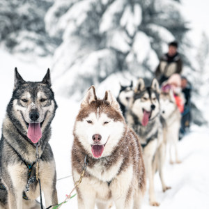 micro-aventure-hivernale