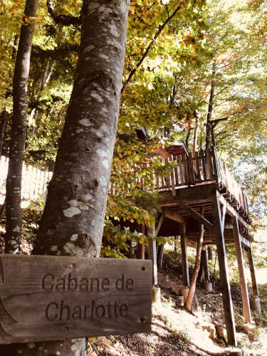 cabane dans les arbres pour une famille