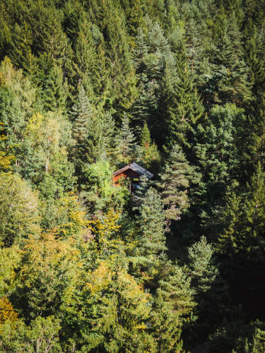 cabane en forêt
