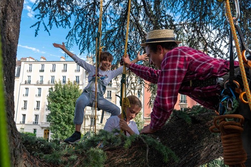 Voyage arboricole